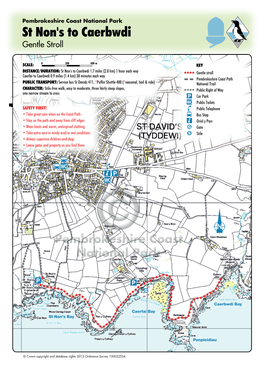 St Non's to Caerbwdi Gentle Stroll