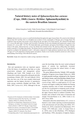 Natural History Notes of Sphaenorhynchus Carneus (Cope, 1868) (Anura: Hylidae: Sphaenorhynchini) in the Eastern Brazilian Amazon