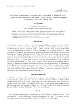 Whiteflies（Homoptera: Aleyrodidae）Intercepted at Japanese Plant Quarantine from Fresh-Cut Twigs of Cleyera Japonica and Eurya Japonica （Theaceae）Imported from China