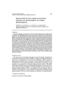 Regulation of Cell Shape in Euglena Gracilis. Iii