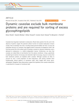 Dynamic Caveolae Exclude Bulk Membrane Proteins and Are Required for Sorting of Excess Glycosphingolipids