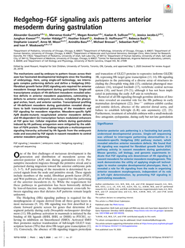 Hedgehog–FGF Signaling Axis Patterns Anterior Mesoderm During Gastrulation