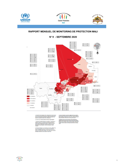 Rapport Mensuel De Monitoring De Protection Mali