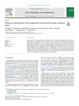 Molecular Identification of the Magnesium Transport Gene Family In