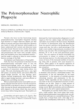 The Polymorphonuclear Neutrophilic Phagocyte