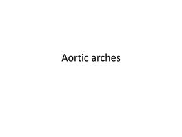 Aortic Arches Pharyngeal Arch Arteries & Their Fate