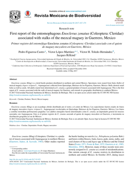 First Report of the Entomophagous Enoclerus Zonatus (Coleoptera: Cleridae)