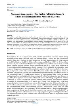 Schizophyllum Amplum (Agaricales, Schizophyllaceae): a Rare Basidiomycete from Malta and Estonia