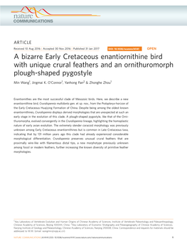 A Bizarre Early Cretaceous Enantiornithine Bird with Unique Crural Feathers and an Ornithuromorph Plough-Shaped Pygostyle