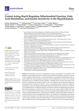 Central Acting Hsp10 Regulates Mitochondrial Function, Fatty Acid Metabolism, and Insulin Sensitivity in the Hypothalamus