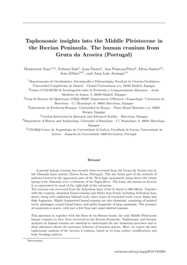 Taphonomic Insights Into the Middle Pleistocene in the Iberian Peninsula