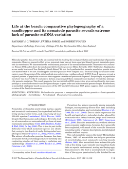 Life at the Beach: Comparative Phylogeography of a Sandhopper and Its Nematode Parasite Reveals Extreme Lack of Parasite Mtdna Variation