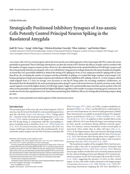 Strategically Positioned Inhibitory Synapses of Axo-Axonic Cells Potently Control Principal Neuron Spiking in the Basolateral Amygdala