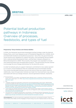 Potential Biofuel Production Pathways in Indonesia: Overview of Processes, Feedstocks, and Types of Fuel