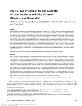 Effect of Two Oviposition Feeding Substrates on Orius Insidiosus and Orius Tristicolor (Hemiptera: Anthocoridae)