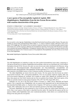 A New Species of Succinoraphidia Aspöck & Aspöck, 2004 (Raphidioptera: Raphidiidae) from the Late Eocene Rovno Amber, With