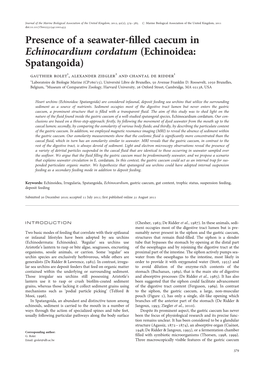 Presence of a Seawater-Filled Caecum in Echinocardium Cordatum