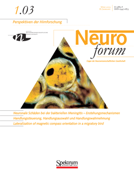 Neuroforum 1/03