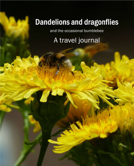 Dandelions and Dragonflies Pt I