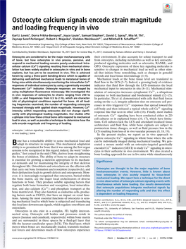 Osteocyte Calcium Signals Encode Strain Magnitude and Loading