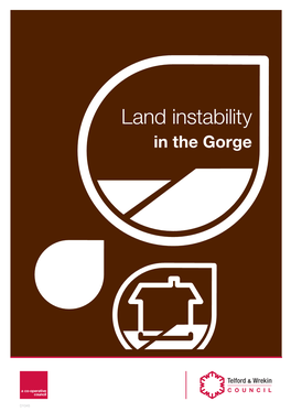 Land Instability in the Gorge