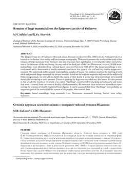 Remains of Large Mammals from the Epigravettian Site of Yudinovo