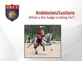Andalusian/Lusitano What Is the Judge Looking For? General Qualifications • Horses Must Be Serviceably Sound, Show No Signs of Lameness and Be in Good Condition