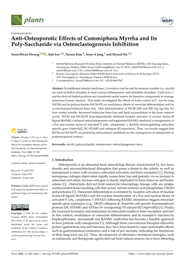 Anti-Osteoporotic Effects of Commiphora Myrrha and Its Poly-Saccharide Via Osteoclastogenesis Inhibition