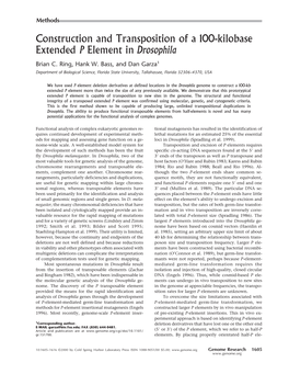 Construction and Transposition of a 100-Kilobase Extended P Element in Drosophila