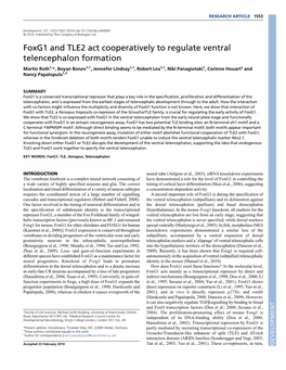 Foxg1 and TLE2 Act Cooperatively to Regulate Ventral Telencephalon