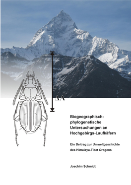 Coleoptera: Carabidae: Trechini)