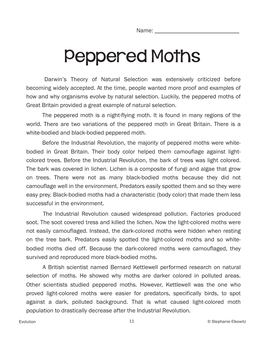 Peppered Moths