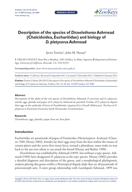Chalcidoidea, Eucharitidae) and Biology of D