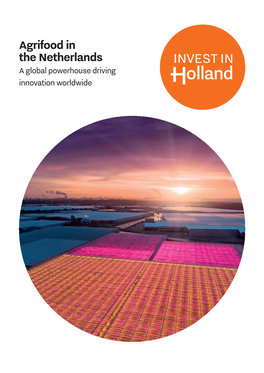 Agrifood in the Netherlands a Global Powerhouse Driving Innovation Worldwide Why Choose the Netherlands to Realize Your Ambitions?