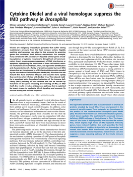 Cytokine Diedel and a Viral Homologue Suppress the IMD Pathway in Drosophila