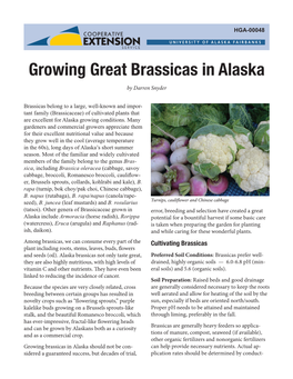 Growing Great Brassicas in Alaska by Darren Snyder