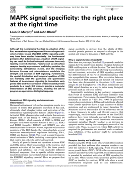 MAPK Signal Specificity: the Right Place at the Right Time