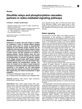 Disulfide Relays and Phosphorylative Cascades