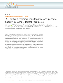 CSL Controls Telomere Maintenance and Genome Stability in Human Dermal ﬁbroblasts