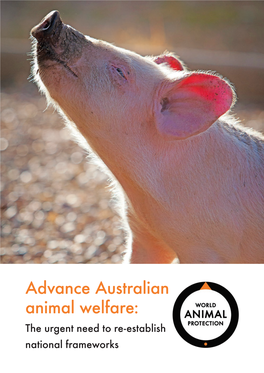 Advance Australian Animal Welfare