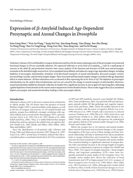 Expression Ofß-Amyloid Induced Age-Dependent Presynaptic And