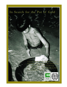 In Search for the Pot of Gold: a Case Study of the Experiences of The