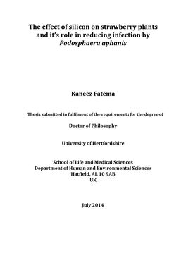 The Effect of Silicon on Strawberry Plants and It's Role in Reducing Infection by Podosphaera Aphanis