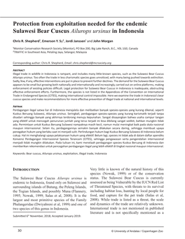 Protection from Exploitation Needed for the Endemic Sulawesi Bear Cuscus Ailurops Ursinus in Indonesia