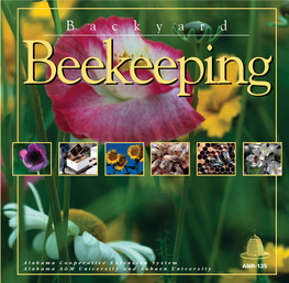 B a C K Y a R D Beekeepingbeekeeping