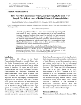 Short Communication First Record of Kumococius Rodericensis (Cuvier, 1829) from West Bengal, North-East Coast of India (Teleost