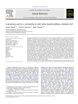 Is Grooming Used As a Commodity in Wild White-Handed Gibbons, Hylobates Lar?