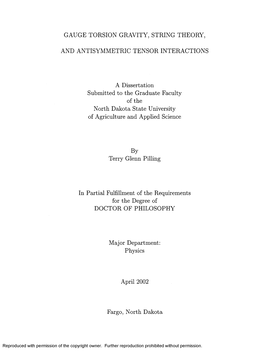 GAUGE TORSION GRAVITY, STRING THEORY, and ANTISYMMETRIC TENSOR INTERACTIONS a Dissertation Submitted to the Graduate Faculty Of