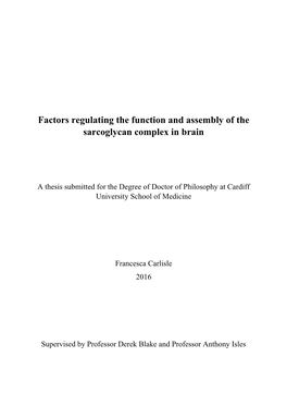 Factors Regulating the Function and Assembly of the Sarcoglycan Complex in Brain
