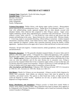 Peltigera Pacifica Species Fact Sheet